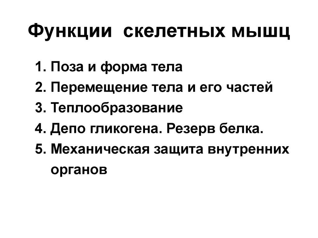 Какую функцию выполняет скелетная мускулатура. Функции скелетных мышц. Перечислите функции скелетных мышц. Определите функции скелетных мышц:. Какие функции выполняют скелетные мышцы.