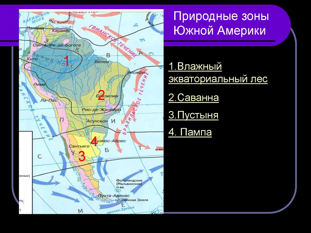 Природные зоны южной америки презентация 7 класс география