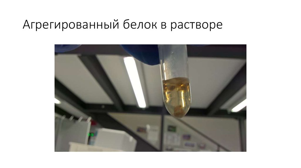 Агрегированный белок в растворе