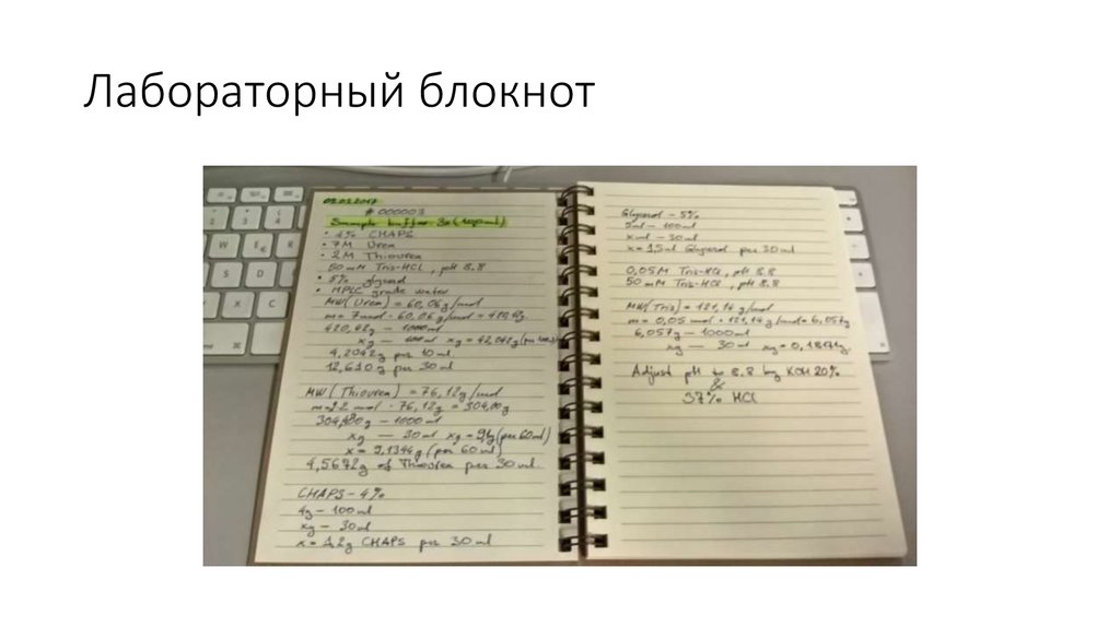 Лабораторный блокнот