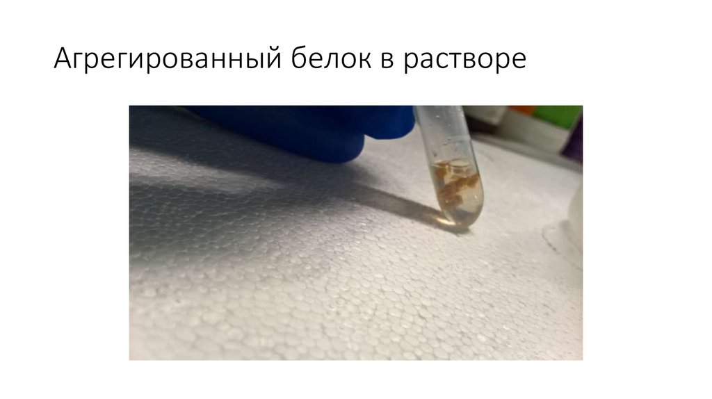 Агрегированный белок в растворе