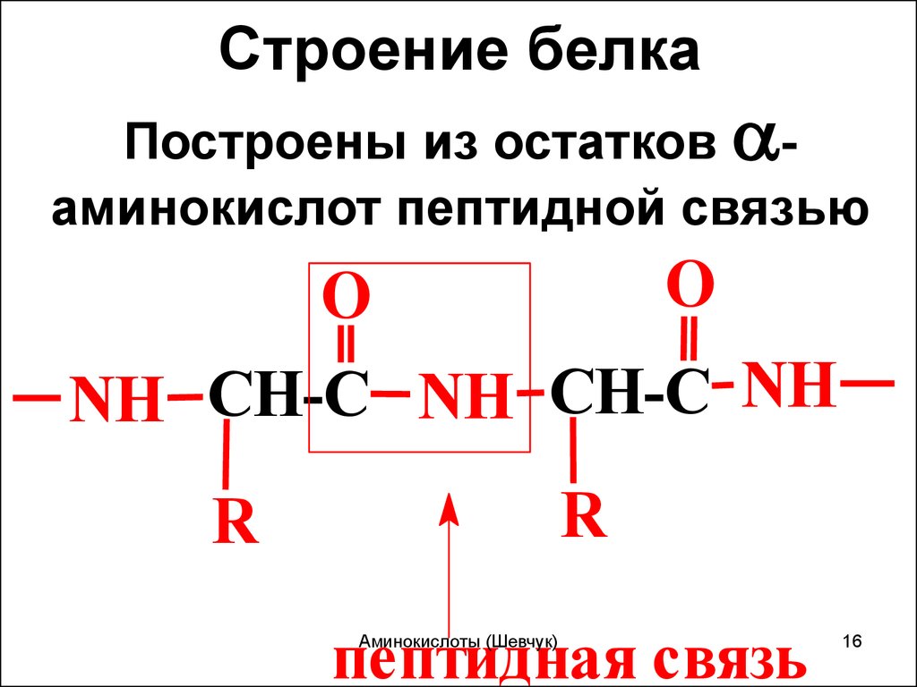 Химические элементы аминокислот. Аминокислоты структура формулы. Строение белковых аминокислот. Строение белков из аминокислот. Химическое строение аминокислот формулы.