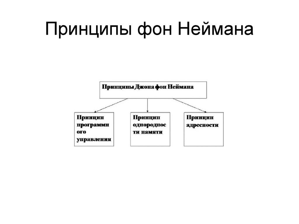 Принципы неймана. Принципы Джона фон Неймана. Принципы фон Неймана кратко. Принципы архитектуры фон Неймана кратко. Принципы Джона фон Неймана кратко.