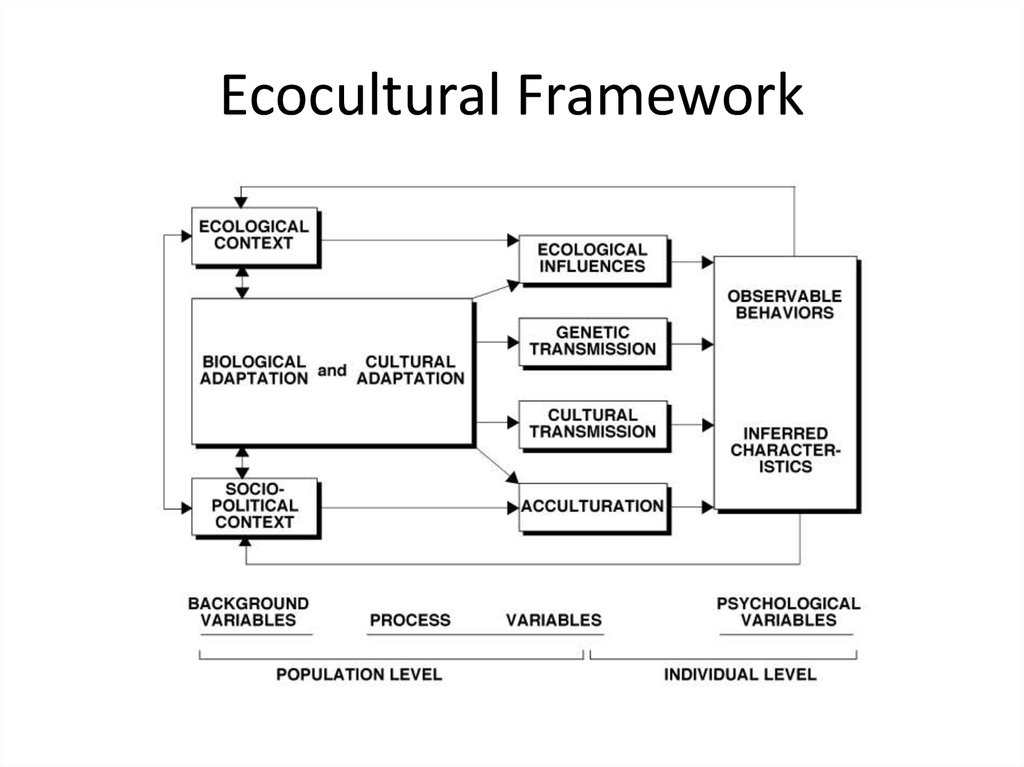Ecocultural Framework