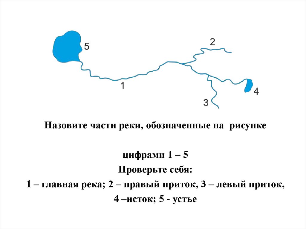 Какими цифрами на рисунке обозначены исток реки