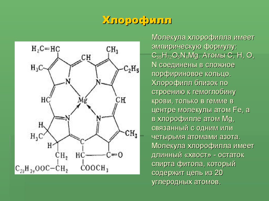 Особенности хлорофилла