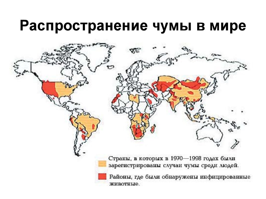 Чума презентация эпидемиология