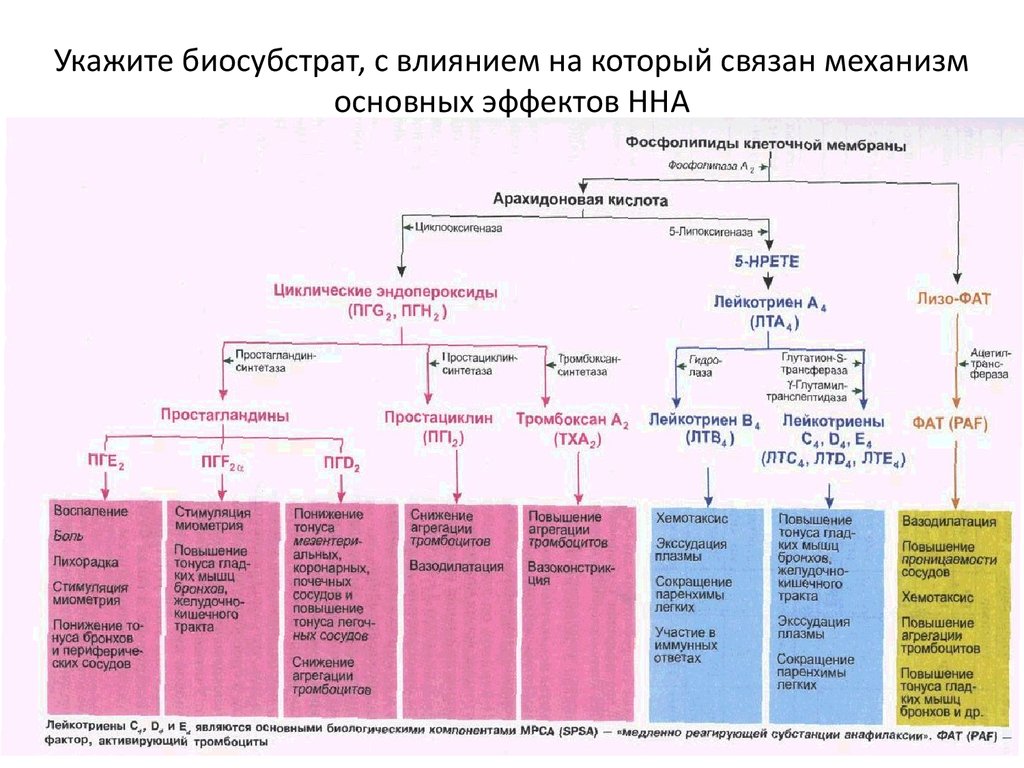 Механизм действия нпвс схема