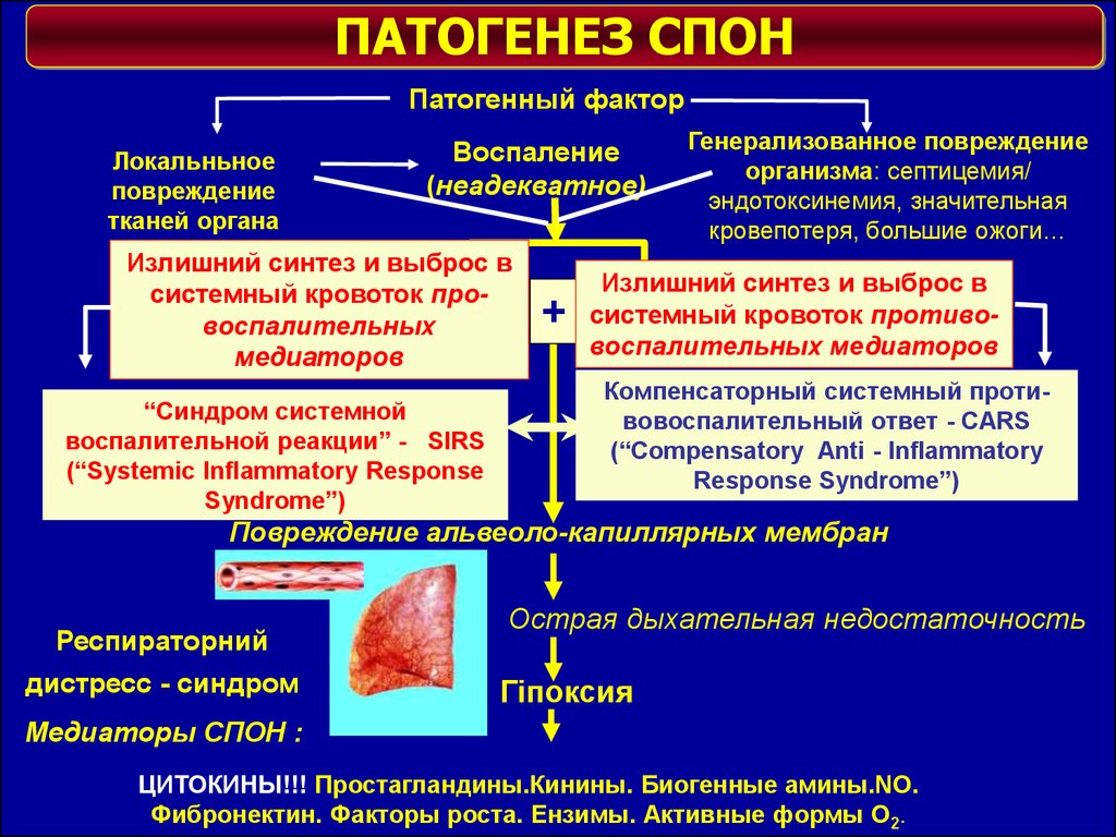 Клиническая патофизиология