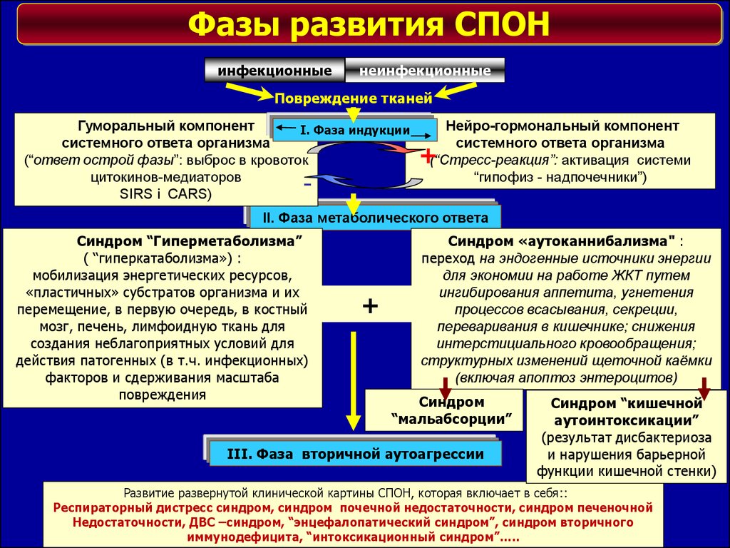 Экстремальные состояния патофизиология презентация