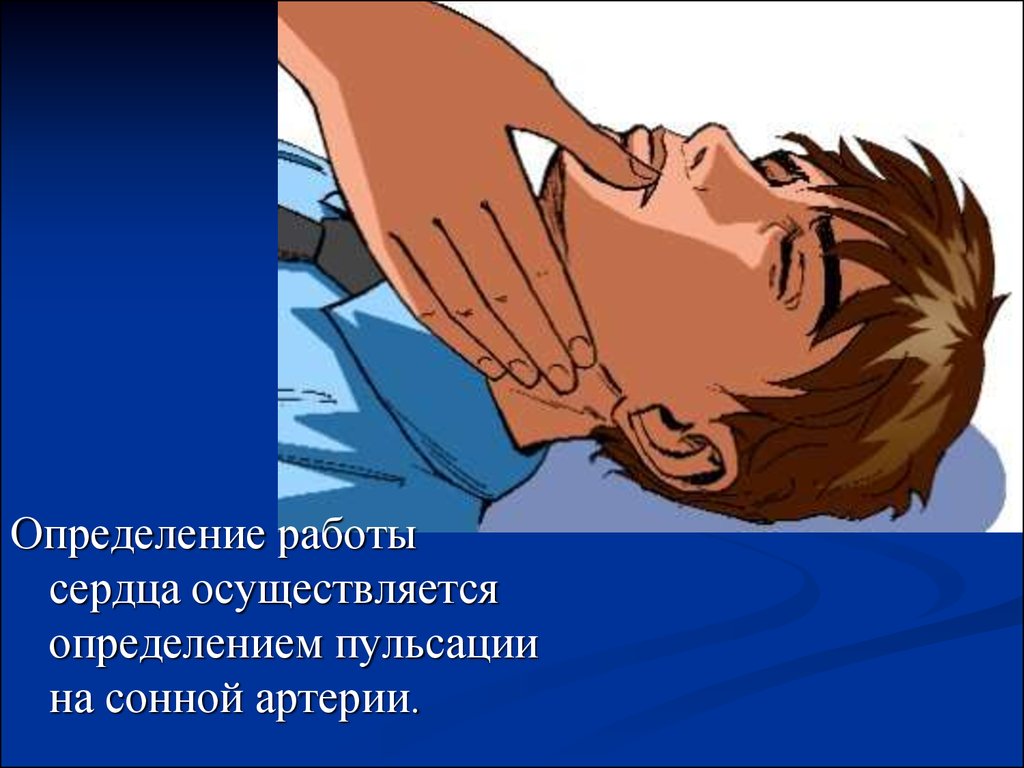 Определение признаков жизни у пострадавшего. Проверка пульса на сонной артерии. Отсутствие пульса на сонной артерии. Проверка пульса у пострадавшего. Проверить пульс на сонной артерии.