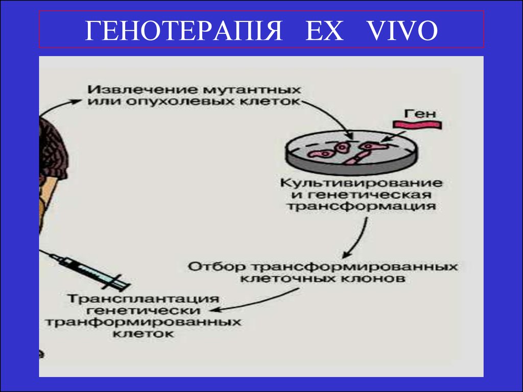 Фетальная генотерапия картинки