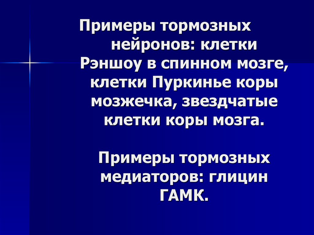 Примеры тормозных нейронов: клетки Рэншоу в спинном мозге, клетки Пуркинье коры мозжечка, звездчатые клетки коры мозга. Примеры тормозных 
