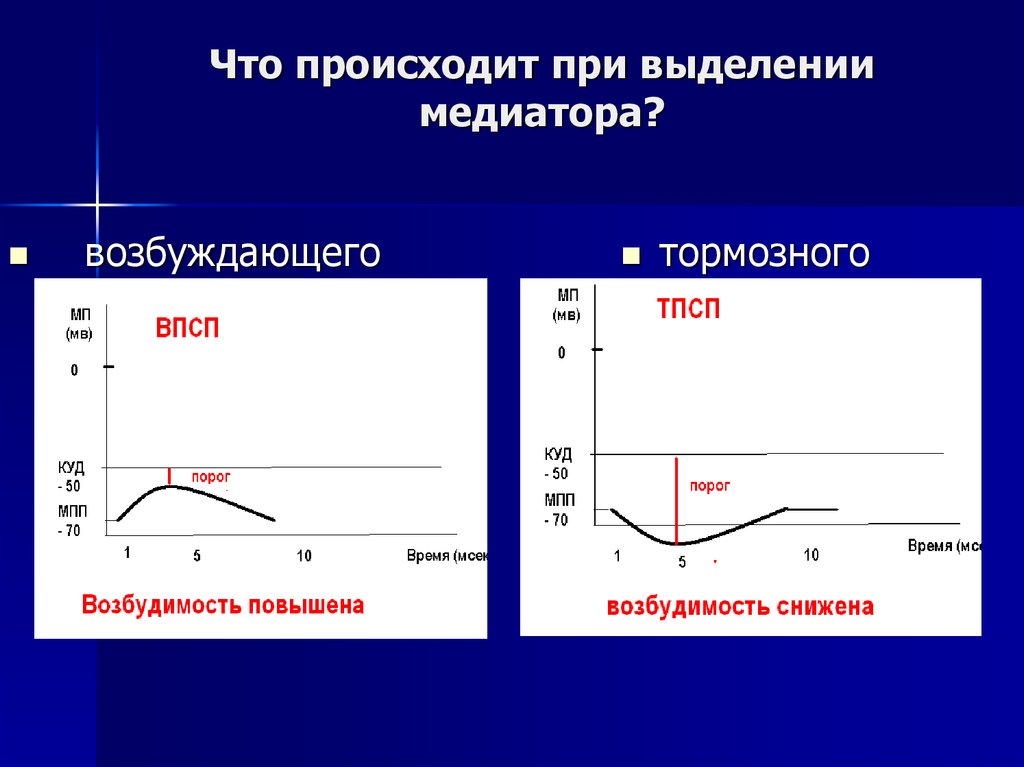 Что происходит при выделении медиатора?