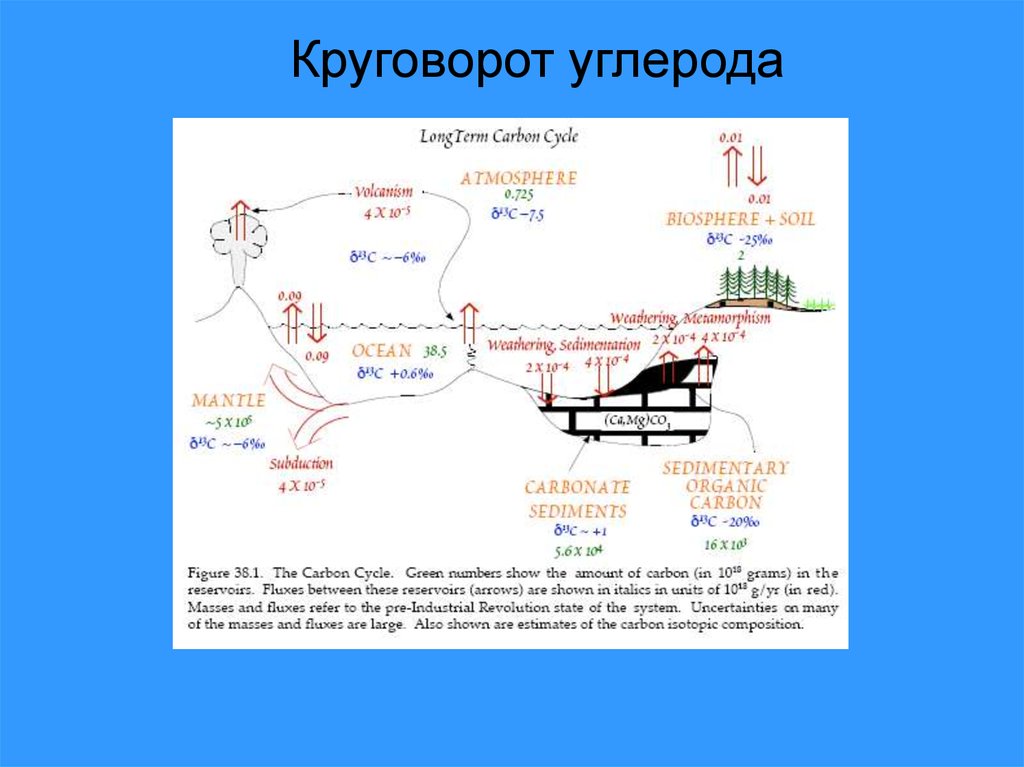 Метод радиоуглеродного анализа презентация