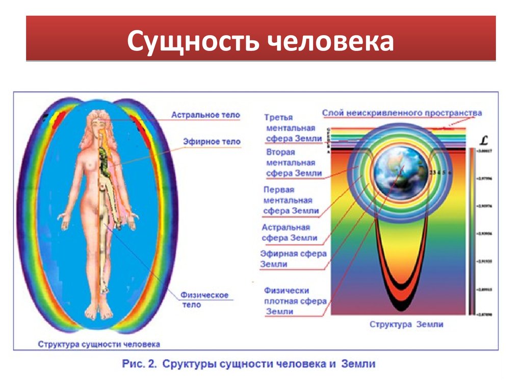 Тонкие тела человека картинки