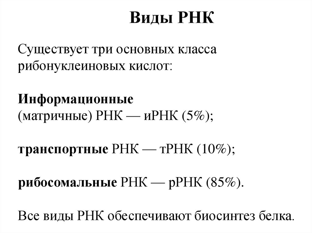 4 виды рнк. Виды РНК. Функции разных видов РНК. Характеристика видов РНК. Типы РНК таблица.