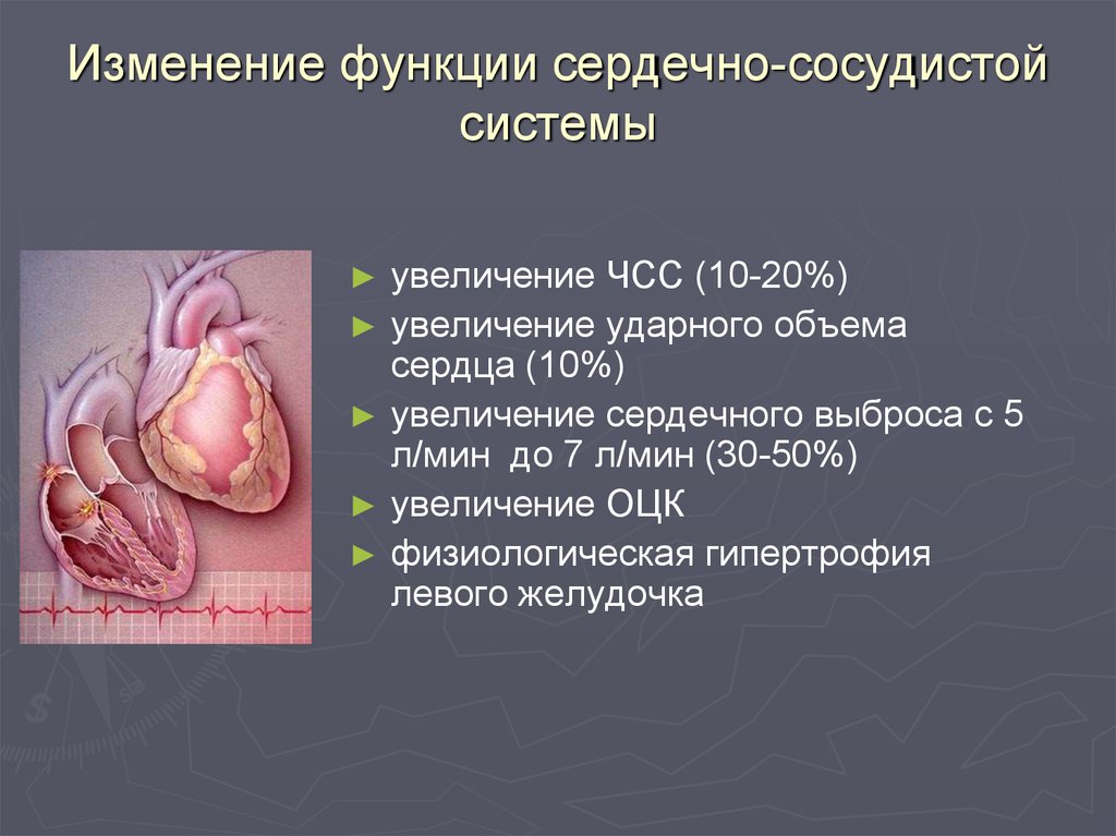 Изменяющаяся функция. Изменение ССС У беременных. Изменения сердечно-сосудистой системы. Функции сердечно-сосудистой системы. Изменения в сердечно-сосудистой системе при беременности.