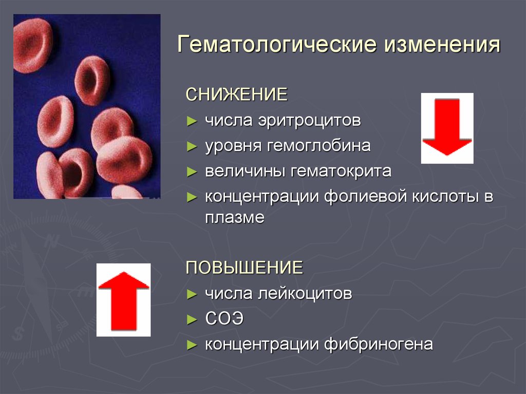 Изменения гемоглобина в крови. Повышение СОЭ И понижение гемоглобина и эритроцитов. Увеличение эритроцитов и гемоглобина, лейкоцитов снижена СОЭ. Уменьшение эритроцитов при анемии. Уменьшение содержания эритроцитов в крови называется.