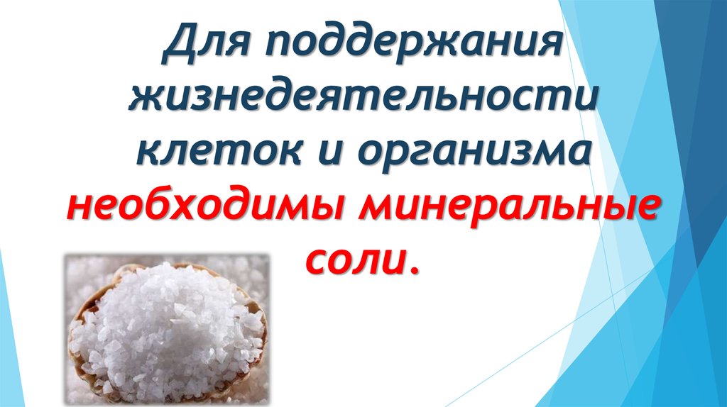 Минеральные соли рисунок. Минеральные соли для жизнедеятельности. Минеральные соли Омской области. Поддержание жизнедеятельности организма. Минеральные соли тест.