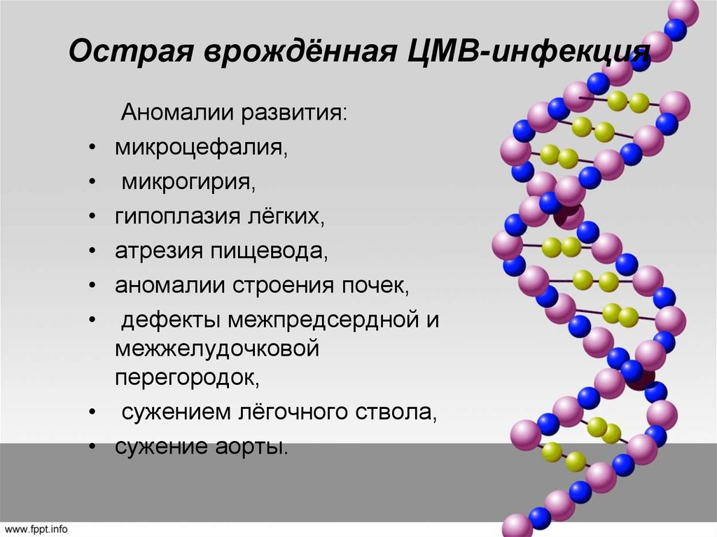 Днк цмв. Врожденная цитомегаловирусная инфекция. Особенности врожденной цитомегаловирусной инфекции:. Острая цитомегаловирусная инфекция.