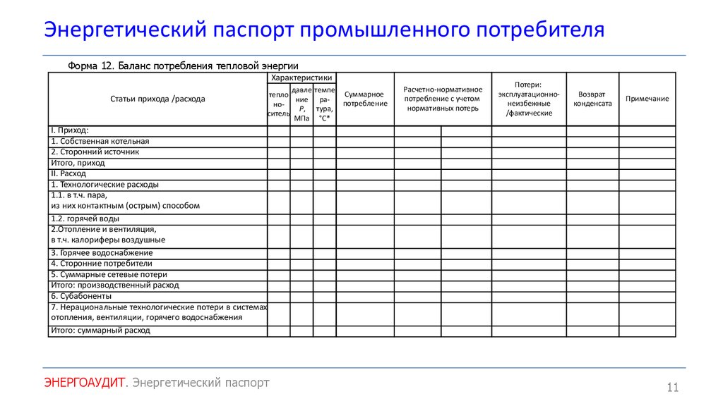 Образец энергопаспорта предприятия