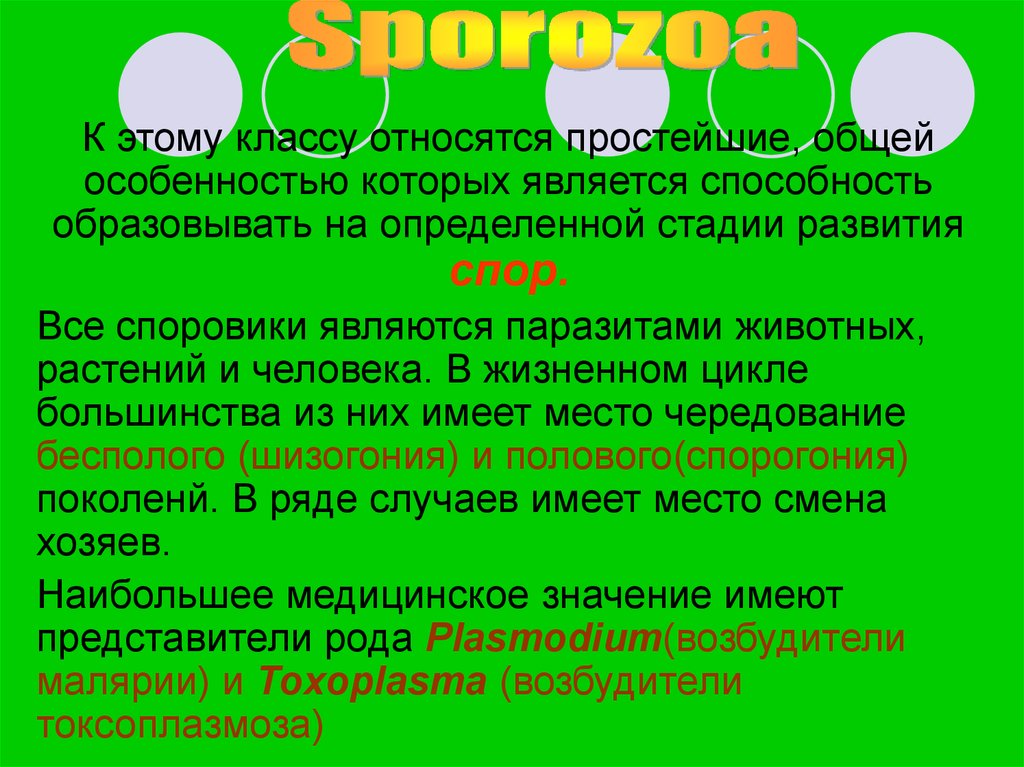 Простой общий. К одному классу относятся. Е отзола класса а относят. R1coor относится к классу.