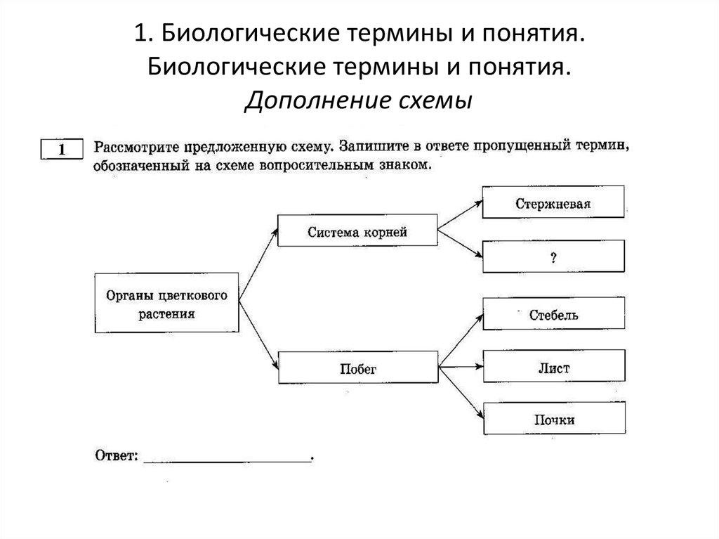 Биологические термины