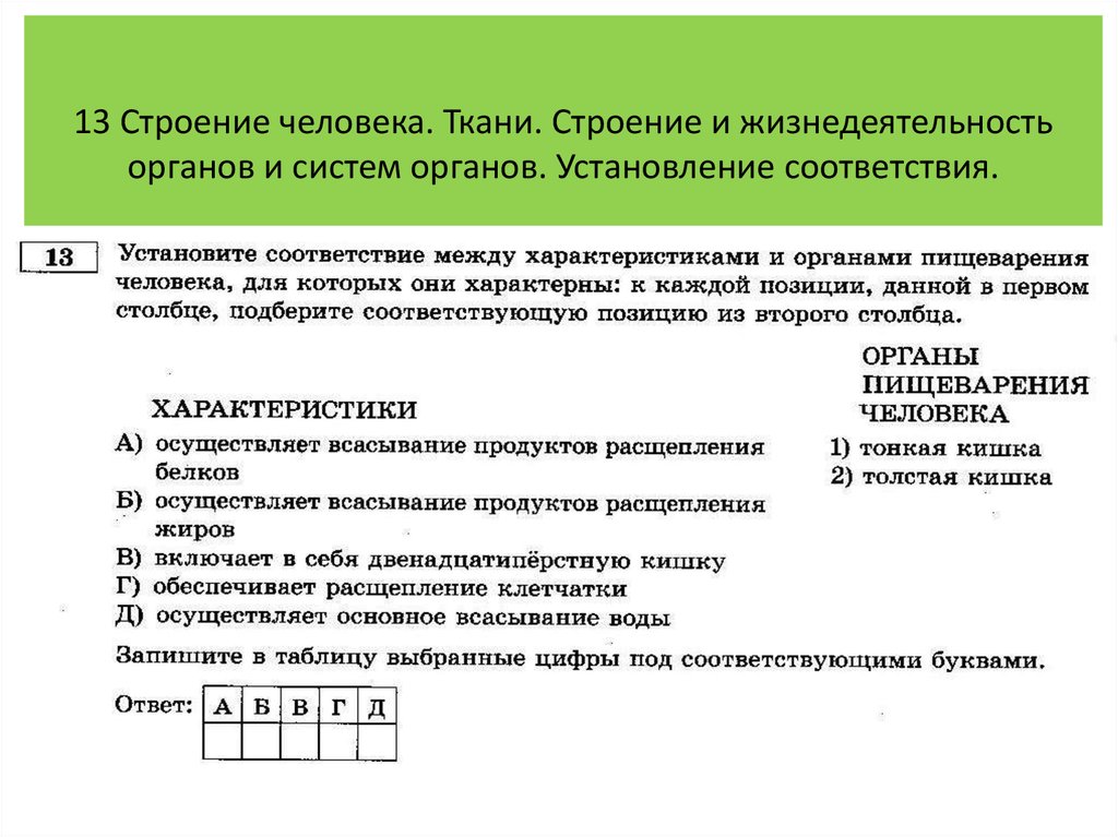 Установите соответствие орган ткань. Жизнедеятельность органов и систем органов. Строение и жизнедеятельность органов системы. Установите соответствие между органами и системами органов. Установите соответствие система органов орган.