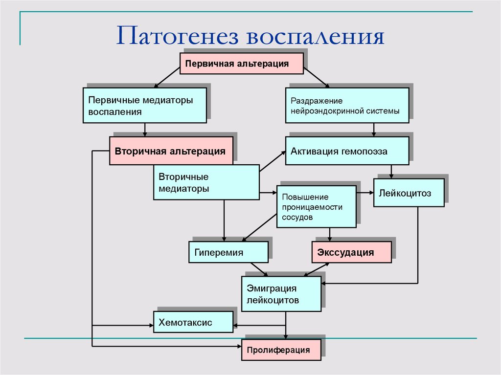 Патогенез воспаления схема