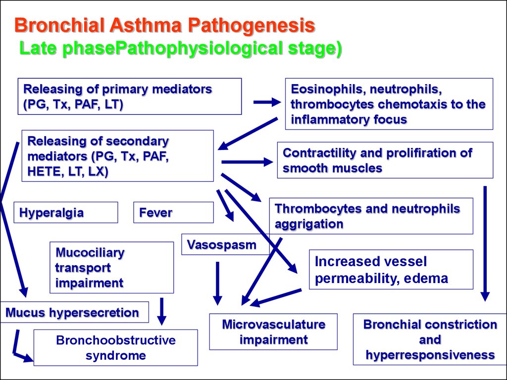 Bronchial Asthma Pathophysiology