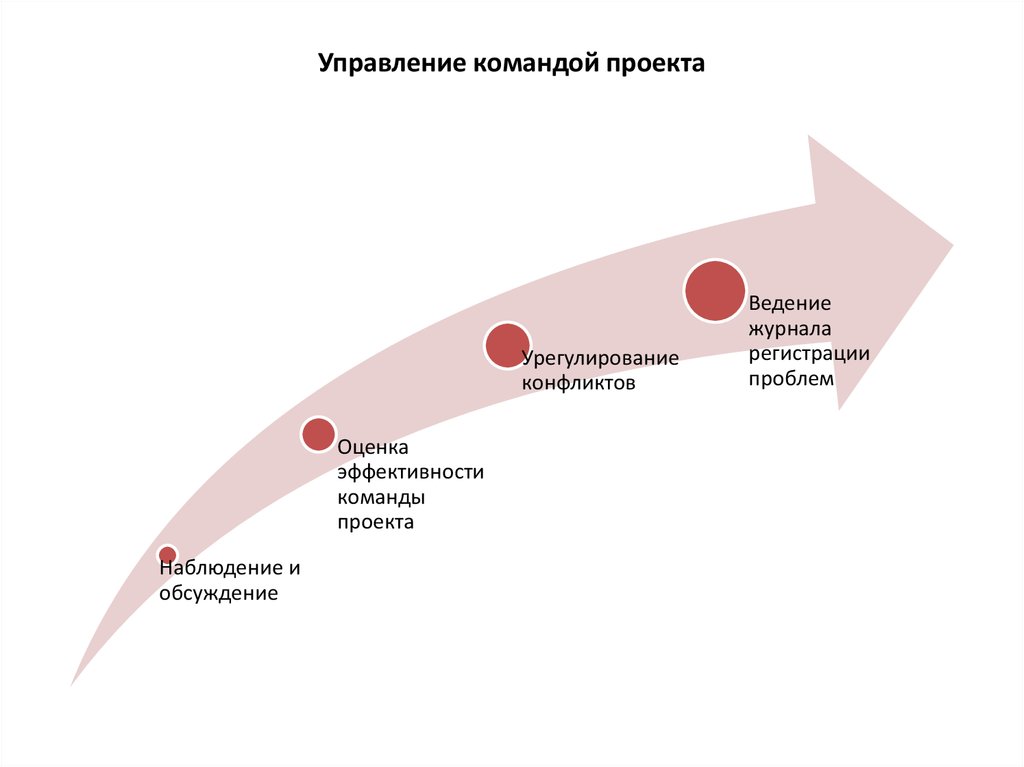 Управление командой социального проекта