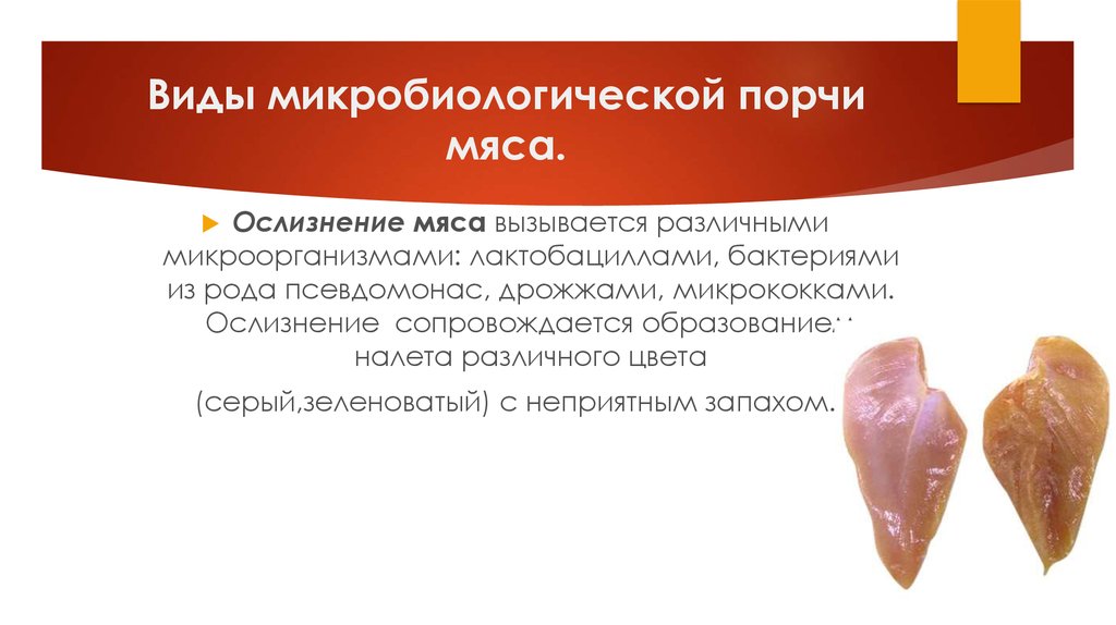 Виды порчи. Виды микробиологической порчи мяса. Микробиологическая порча мяса. Виды микробиологической порчи.