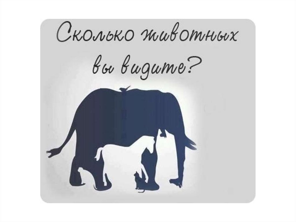 Сколько зверей. Сколько животных вы видите. Сколько животных вы видите на картинке. Столько животных вы видите. Сколько животных ты видишь.