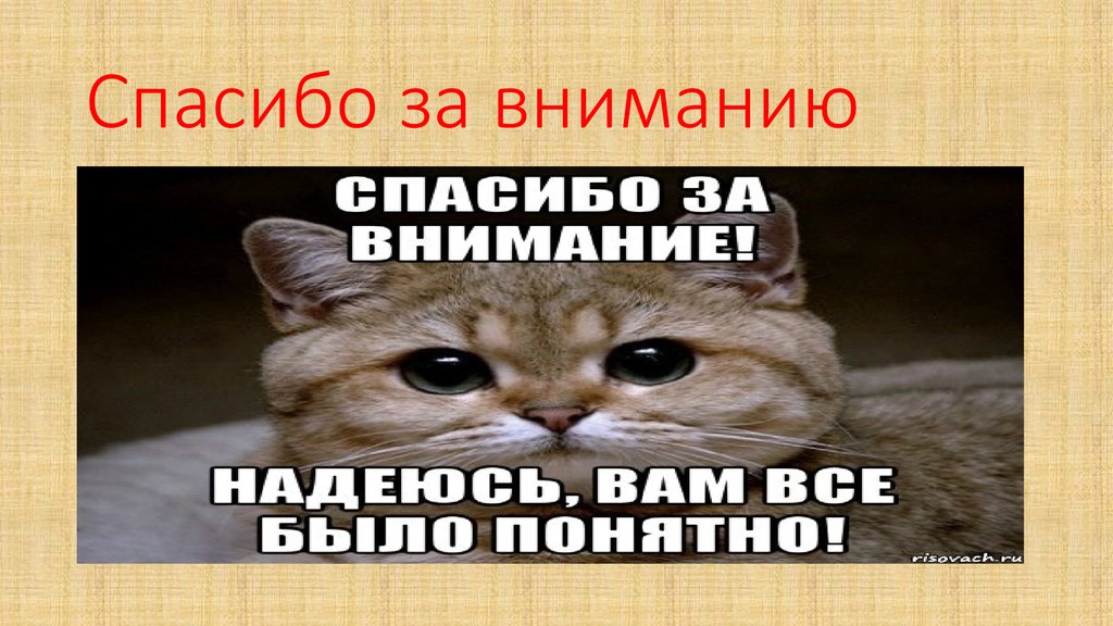 Конец котенку. Спасибо за внимание котик. Спасибо за внимание котики милые. Милый котик спасибо за внимание. Слайд спасибо за внимание с котиком.