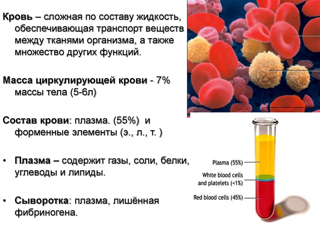 Химия крови проект