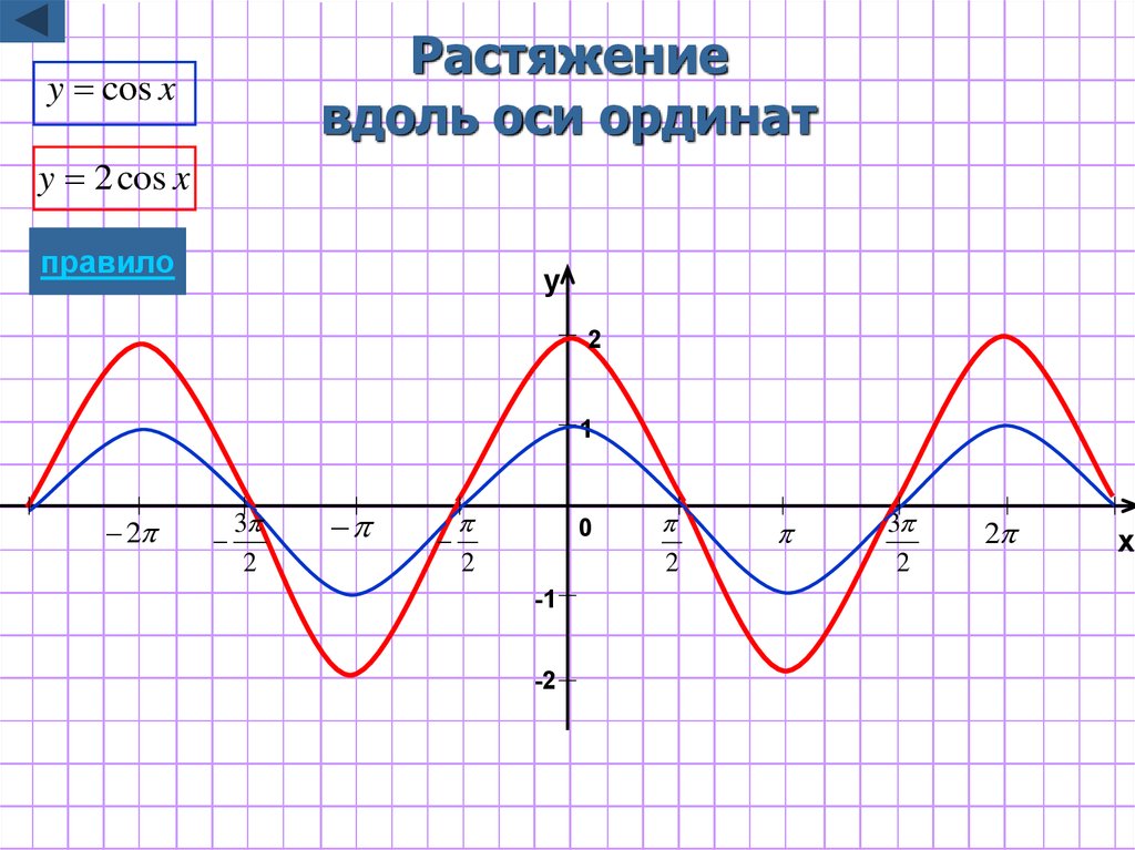 Растяжение и сжатие графиков функций презентация