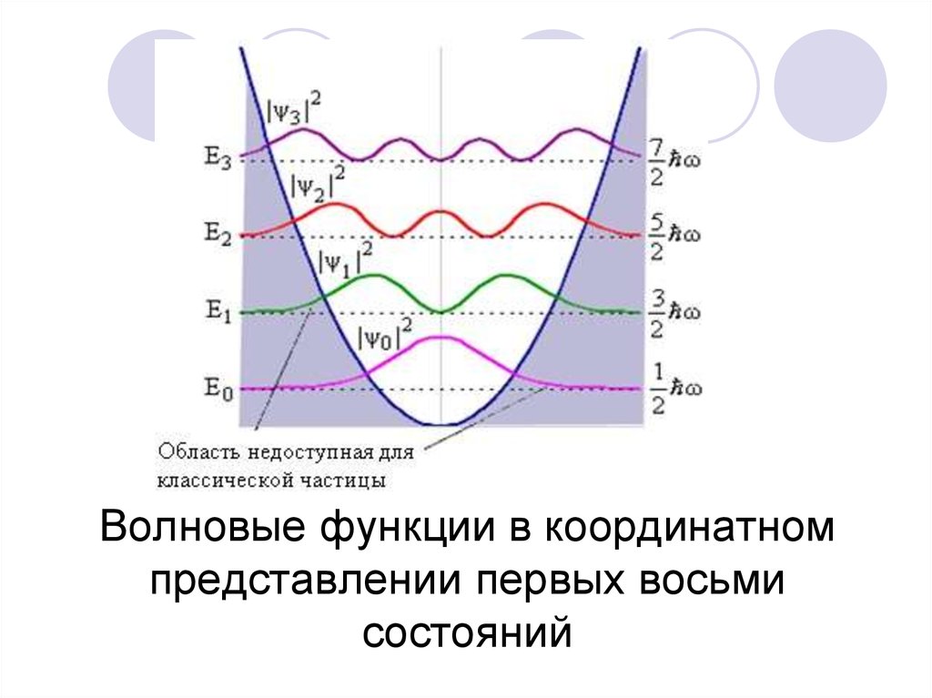 Волновые функции в координатном представлении первых восьми состояний