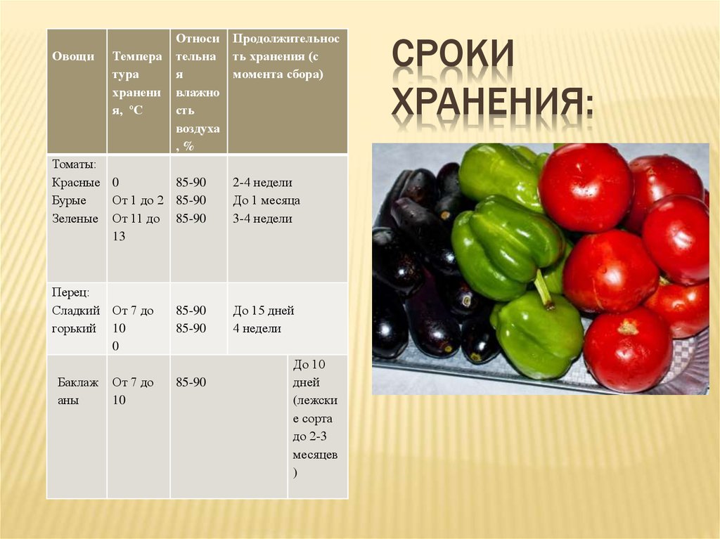 Сколько входит перец. Требования к качеству свежих плодов и овощей. Требования к качеству плодовых овощей. Сроки хранения свежих овощей. Срок годности перец болгарский.