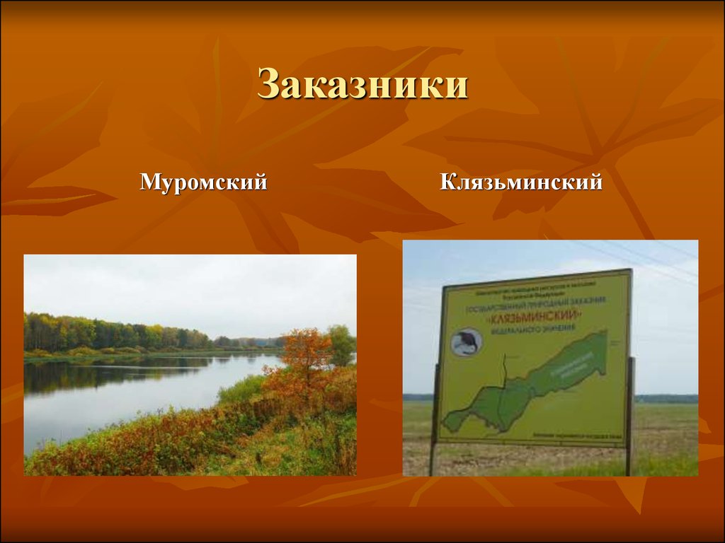 Крутовский заказник карта