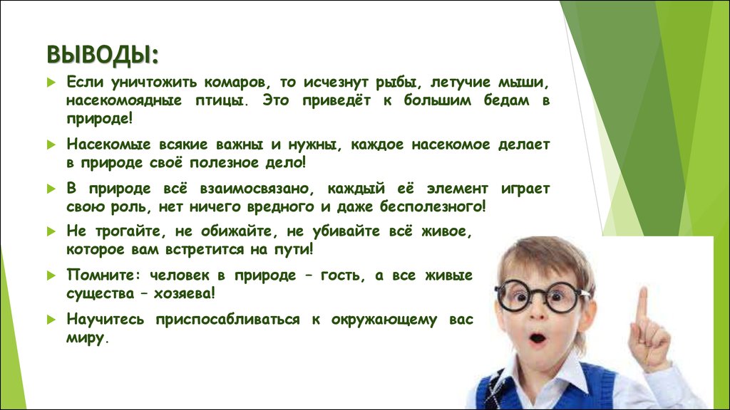 Исчезнет через. Что будет если уничтожить всех комаров. Почему комаров нельзя уничтожить. Что будет если исчезнут комары. Что будет если не будет комаров.