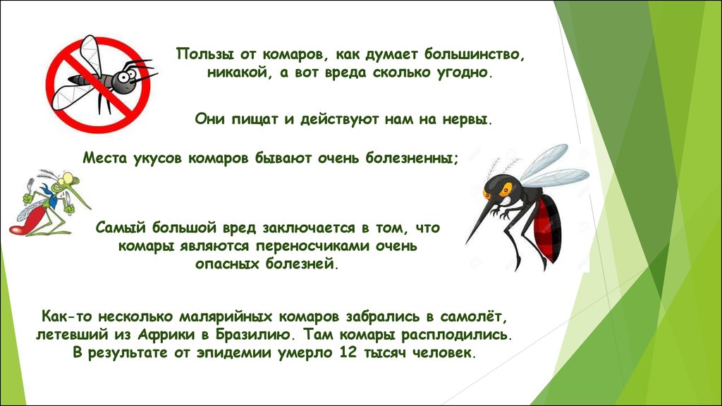 Ответ комарову. Вредный комар. Польза от комаров. Комар вредное для человека. Польза и вред комаров.