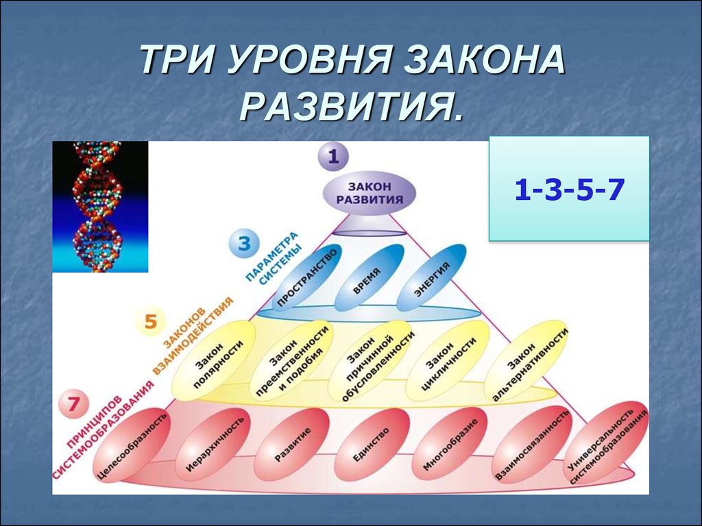 Закон развития презентация