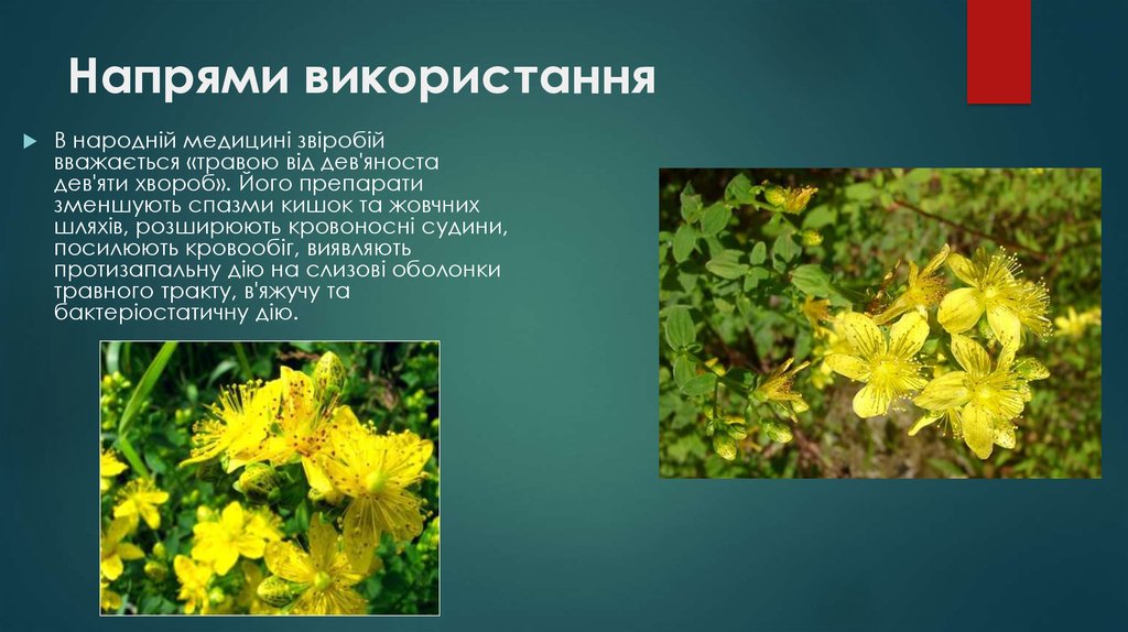 Напрями використання