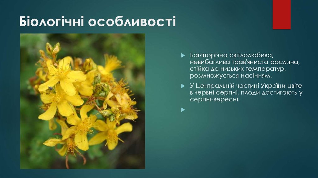 Біологічні особливості