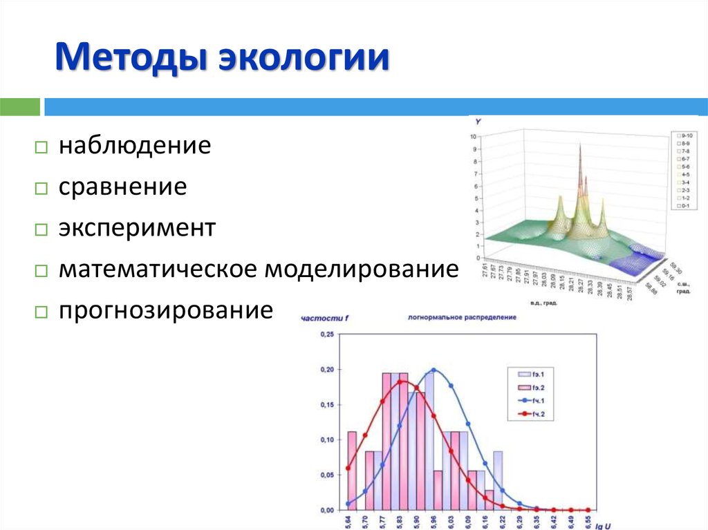 Математическое моделирование в экологии презентация