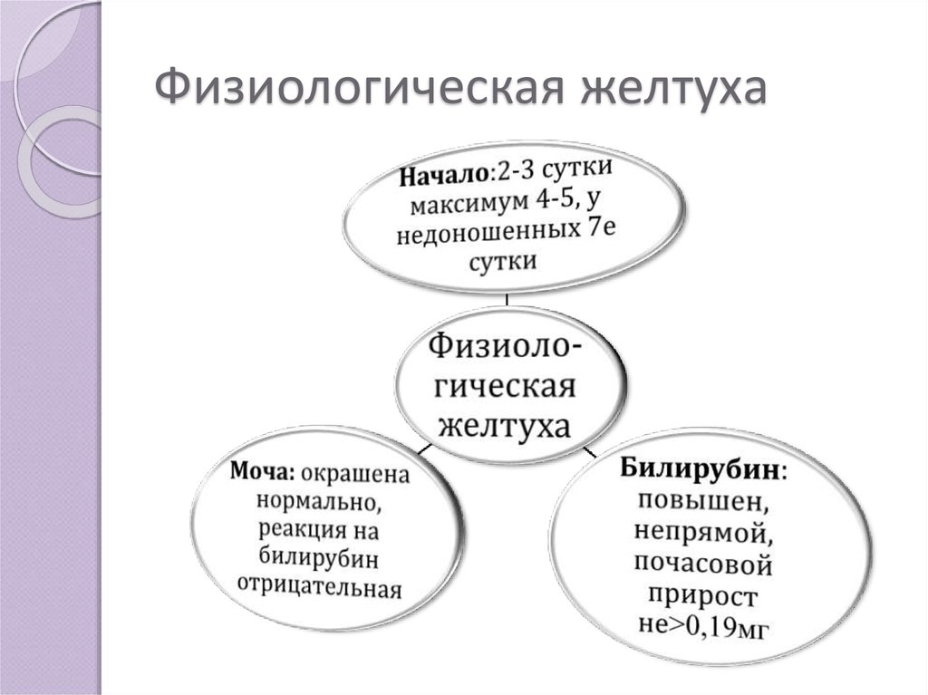 Физиологическая желтуха. Физиолгический желтухи. Физиологическая желтушка. Причины физиологической желтухи. Физиологическая и патологическая желтуха новорожденных.