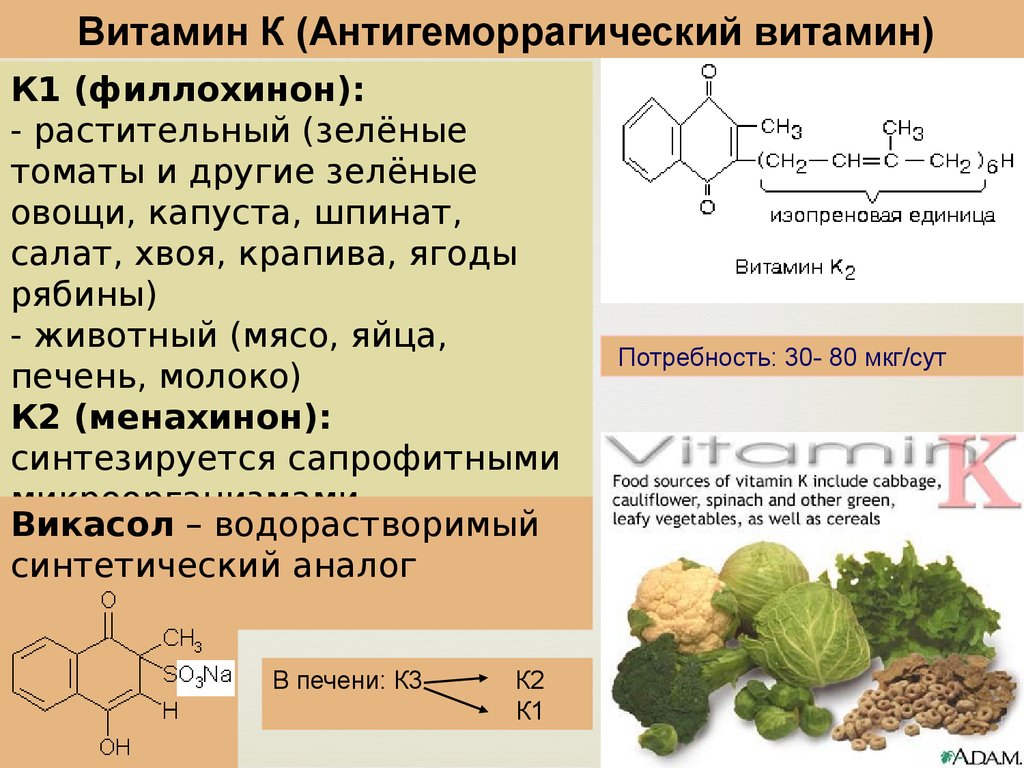 Основа витамина д3