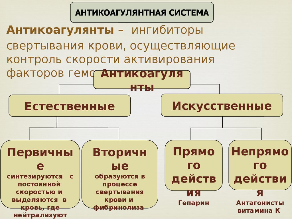 Естественно основной