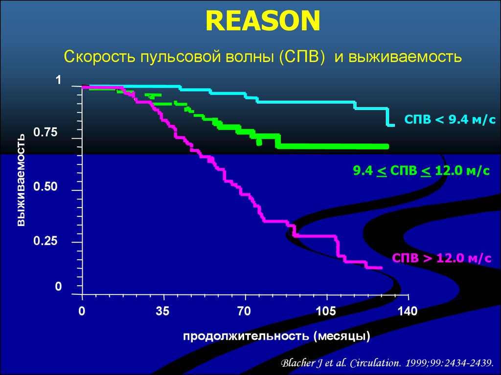 Speed reason. Скорость пульсовой волны при артериальной гипертензии.